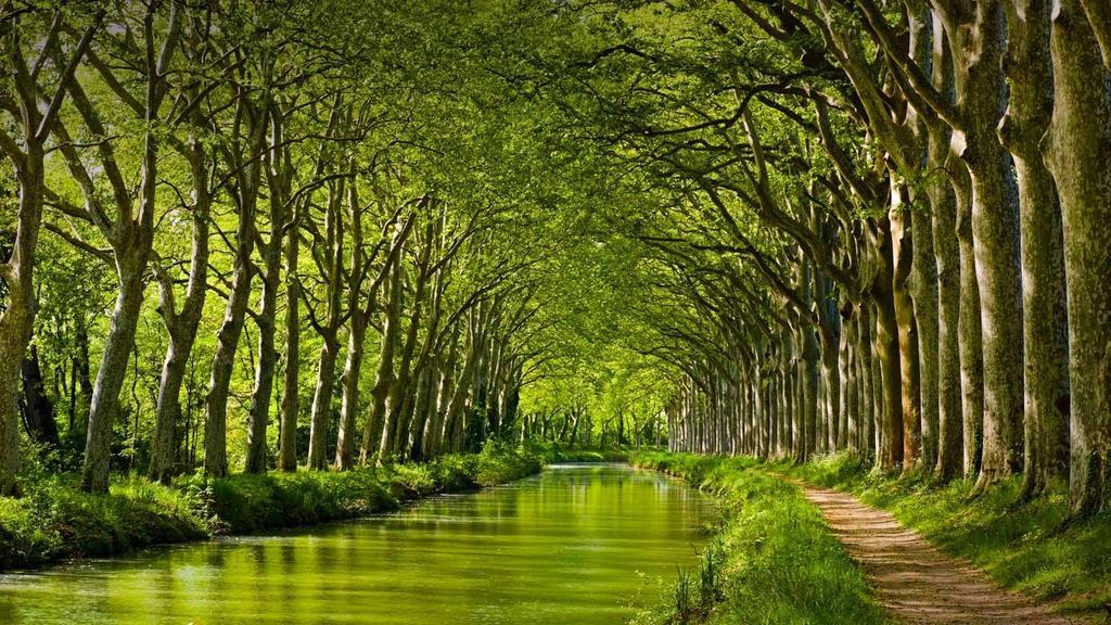 Gite La Chartreuse Du Canal Du Midi Tolosa Esterno foto